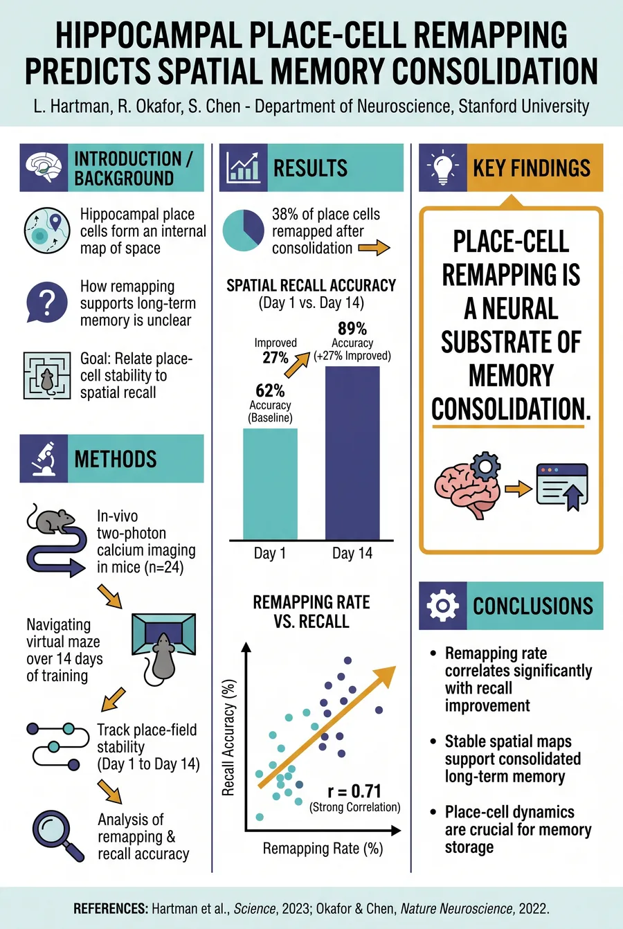 Wissenschaftliches Poster Neurowissenschaft – A0 Hochformat